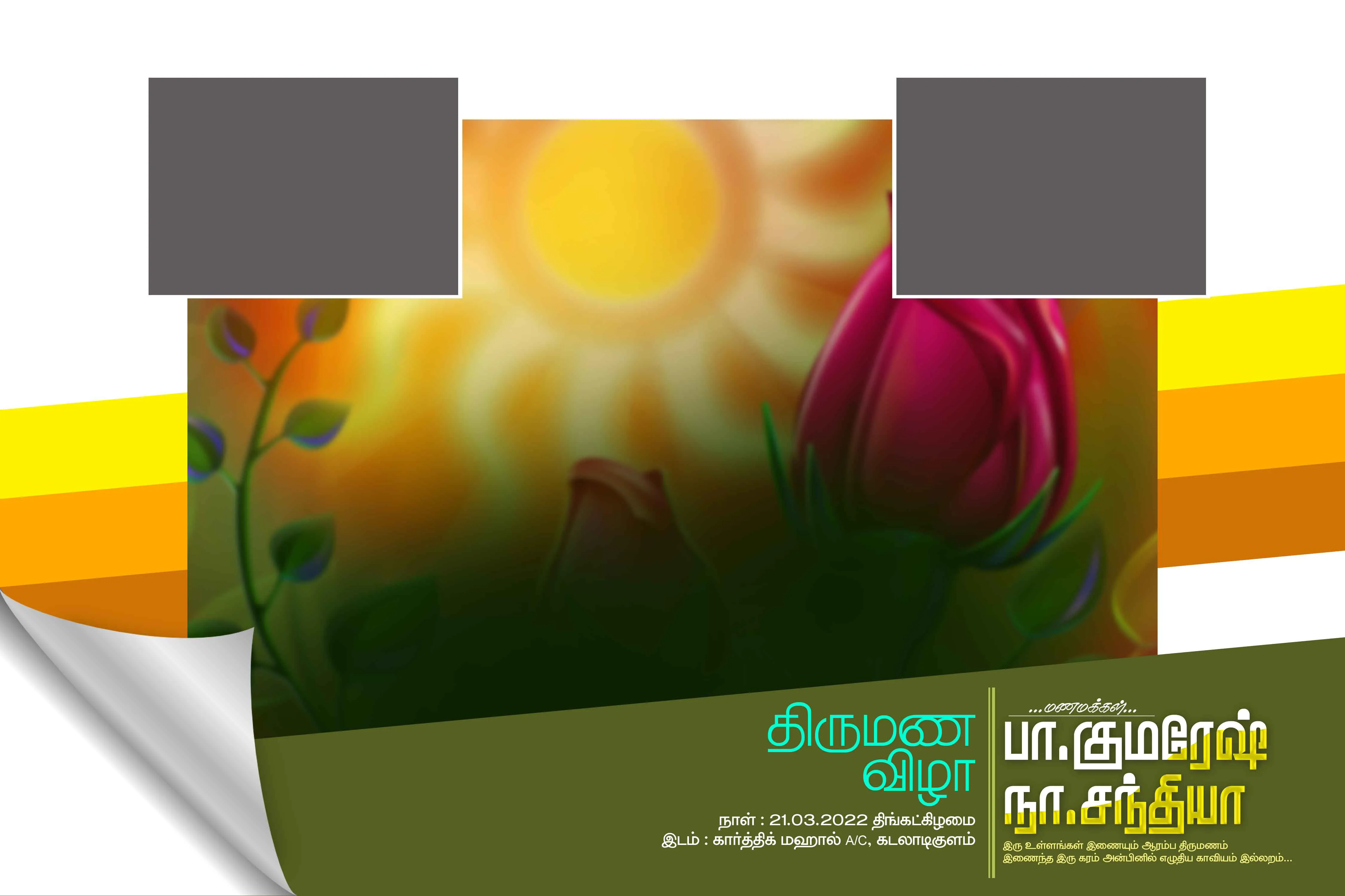 Image Preview